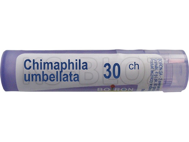 Chimaphila Umbellata 30 interakcje ulotka granulki - 4 g