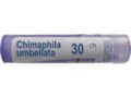 Chimaphila Umbellata 30 interakcje ulotka granulki  4 g