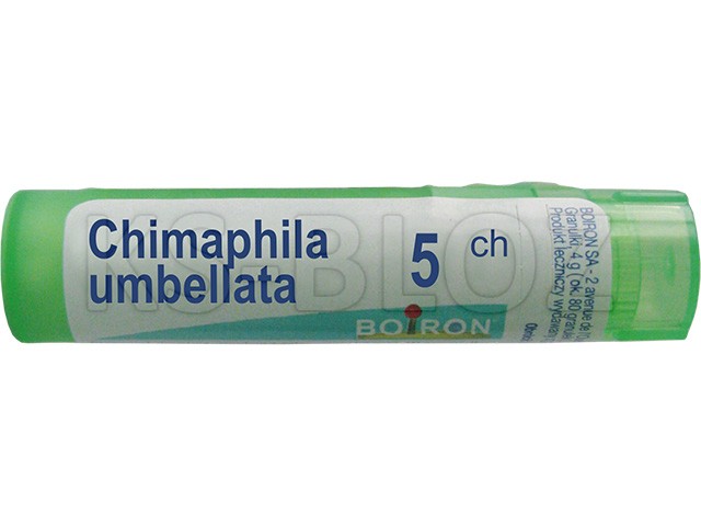 Chimaphila Umbellata 5 CH interakcje ulotka granulki  4 g