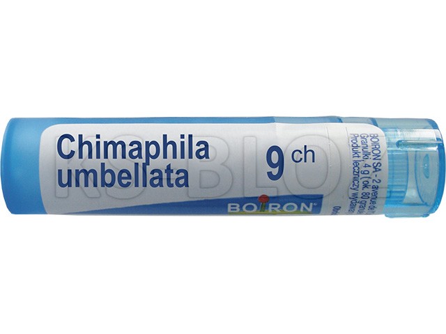 Chimaphila Umbellata 9 CH interakcje ulotka granulki  4 g