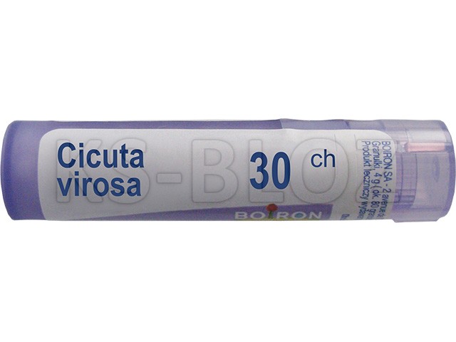 Cicuta Virosa 30 CH interakcje ulotka granulki  4 g