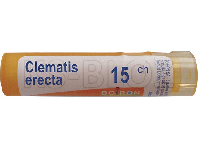 Clematis Erecta 15 CH interakcje ulotka granulki  4 g