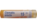 Clematis Erecta 15 CH interakcje ulotka granulki  4 g