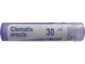 Clematis Erecta 30 CH interakcje ulotka granulki  4 g