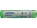 Clematis Erecta 5 CH interakcje ulotka granulki  4 g