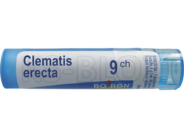 Clematis Erecta 9 CH interakcje ulotka granulki  4 g