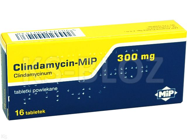 Clindamycin MIP 300 interakcje ulotka tabletki powlekane 300 mg 16 tabl. | 2 blist.po 8 szt.