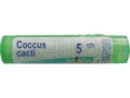 Coccus Cacti 5 CH interakcje ulotka granulki  4 g
