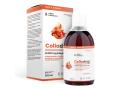 Colladrop Forte Kolagen Morski 10000 mg interakcje ulotka płyn  500 ml