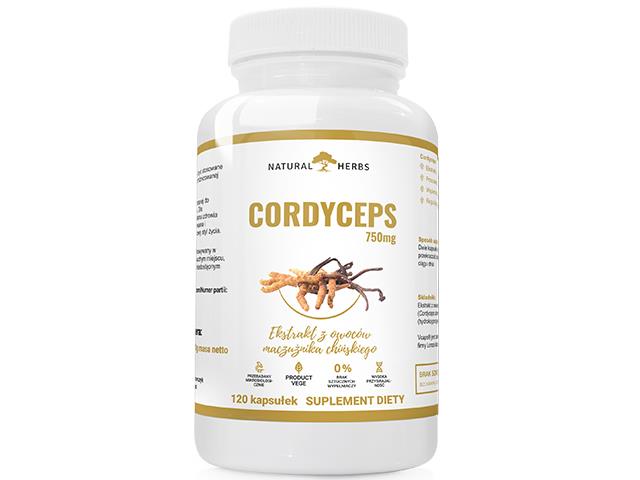 Cordyceps 750mg Ekstrakt z owoców maczużnika chińskiego interakcje ulotka kapsułki  120 kaps.