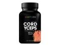 Cordyceps interakcje ulotka kapsułki  60 kaps.