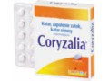Coryzalia interakcje ulotka tabletki drażowane  40 tabl.