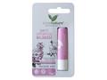 COSNATURE Naturalny Ochronny Balsam do ust z olejkiem z dzikiej róży interakcje ulotka balsam  4.8 g