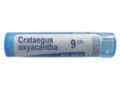 Crataegus Oxyacantha 9 CH interakcje ulotka granulki  4 g