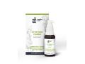 Cytryniec Chiński interakcje ulotka płyn  30 ml