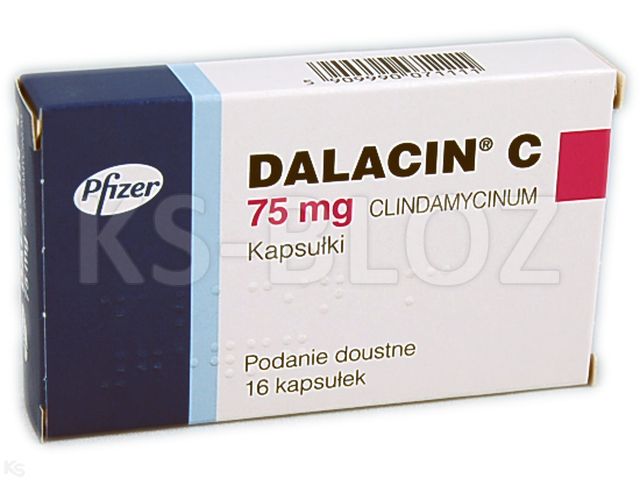 Dalacin C - ulotka (dawkowanie, zastosowanie, interakcje) - KtoMaLek.pl