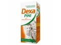 Dexapini interakcje ulotka syrop (426mg+65mg+6,5mg)/5ml 115 ml