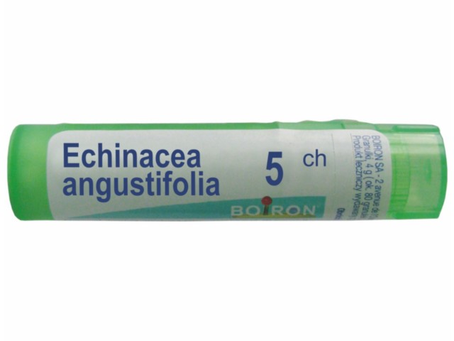 Echinacea Angustifolia 5 CH interakcje ulotka granulki  4 g