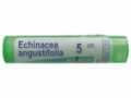 Echinacea Angustifolia 5 CH interakcje ulotka granulki  4 g