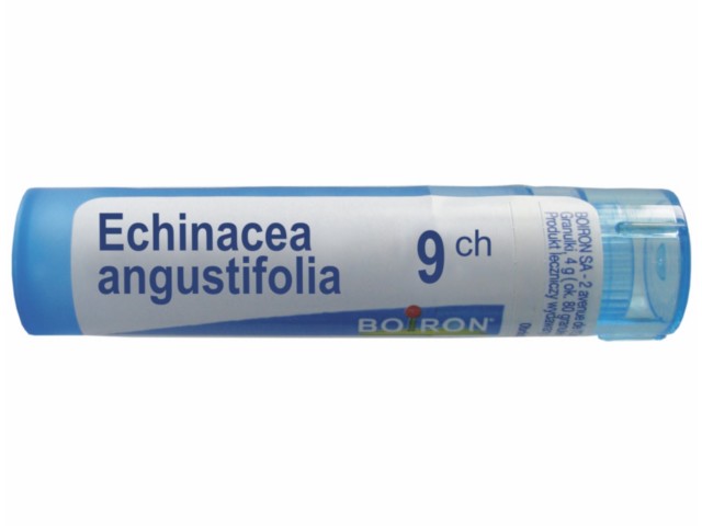 Echinacea Angustifolia 9 CH interakcje ulotka granulki  4 g