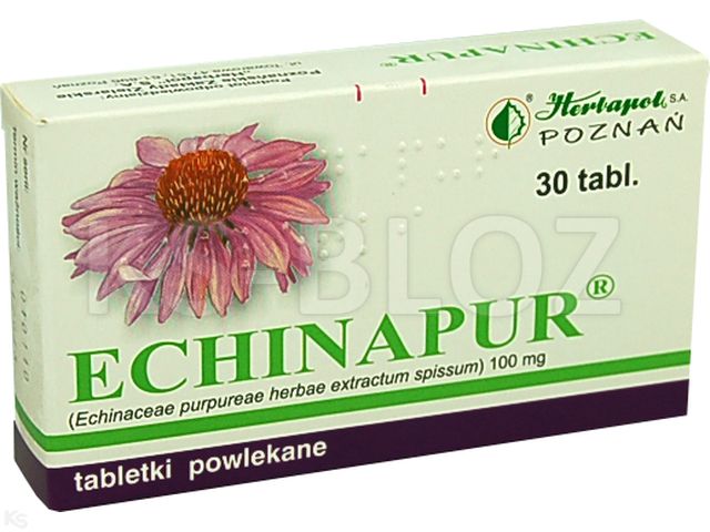 Echinapur interakcje ulotka tabletki powlekane 100 mg 30 tabl. (2 blist. po 15 tabl.)