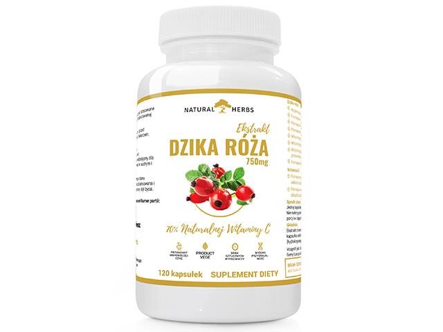 Ekstrakt Dzika Róża 750mg 70% Naturalnej Witaminy C interakcje ulotka kapsułki - 120 kaps.