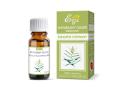 Etja Olejek eteryczny naturalny eukaliptus cytrynowy interakcje ulotka olejek  10 ml