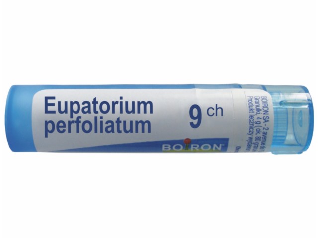 Eupatorium Perfoliatum 9 CH interakcje ulotka granulki  4 g