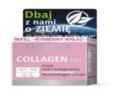 Flos-Lek Collagen Up Krem multi-kolagenowy refill interakcje ulotka   50 ml | (wkład)