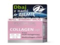 Flos-Lek Collagen Up Krem multi-kolagenowy refill interakcje ulotka krem  50 ml | wkład