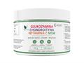 Glukozamina Chondroityna MSM Witamina C Produkt Vege interakcje ulotka proszek  250 g