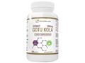 GOTU KOLA EXTRACT 500mg Ekstrakt z wąkrotki azjatyckiej interakcje ulotka kapsułki  60 kaps.