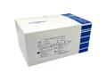Group A Streptococcus Rapid Test kit REF 012124-20-111 interakcje ulotka test  20 szt.