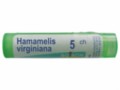 Hamamelis Virginiana 5 CH interakcje ulotka granulki  4 g