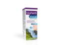 Islaherb Vocal Spray do gardła interakcje ulotka spray do gardła  30 ml