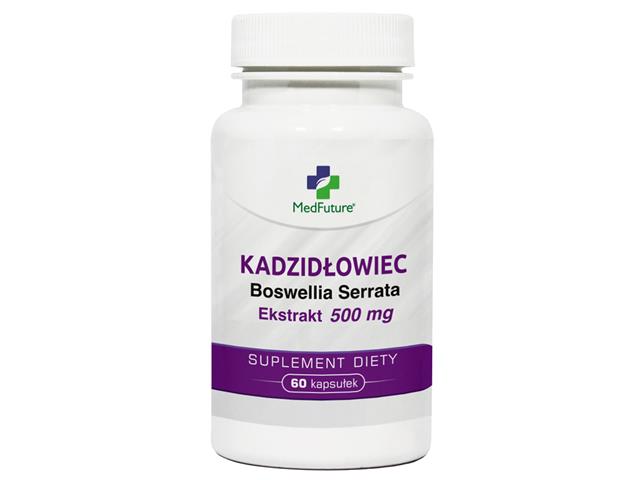 Kadzidłowiec Ekstrakt Boswellia Serrata 500 mg interakcje ulotka kapsułki  60 kaps.