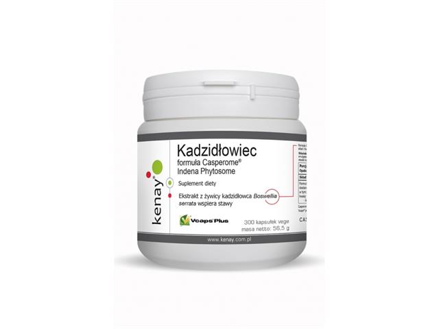 Kadzidłowiec formuła Casperome Indena Phytosome interakcje ulotka kapsułki - 300 kaps.