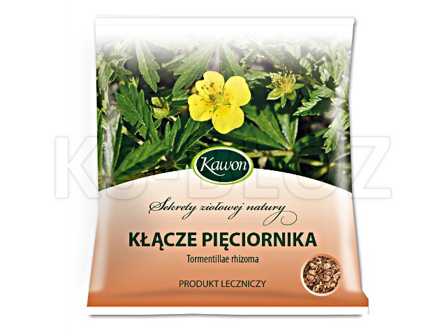 Kłącze Pięciornika interakcje ulotka zioła do zaparzania 1 g/g 50 g