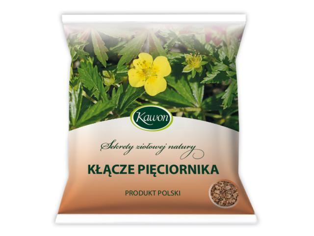 Kłącze Pięciornika interakcje ulotka zioła do zaparzania - 50 g