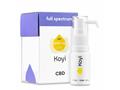 KOYI CBD full spectrum 2000mg 20% interakcje ulotka olej  10 ml