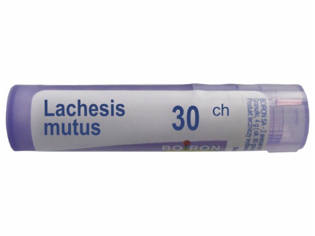 Lachesis Mutus 30 CH interakcje ulotka granulki  4 g