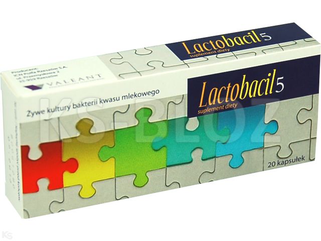 Lactobacil 5 interakcje ulotka kapsułki - 20 kaps.
