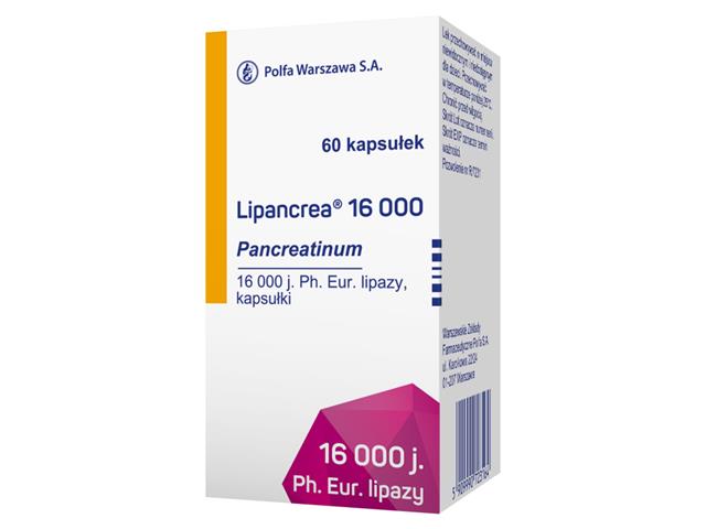 Lipancrea 16 000 interakcje ulotka kapsułki 16 000 j. Ph.Eur. 60 kaps. | pojemnik