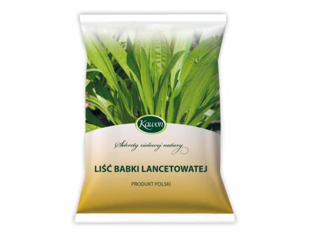 Liść Babki Lancetowatej interakcje ulotka zioła do zaparzania  50 g