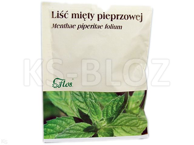 Liśc Mięty Pieprzowej interakcje ulotka zioła do zaparzania  50 g