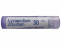 Lycopodium Clavatum 9 CH interakcje ulotka granulki  4 g