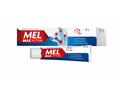 Mel Max Actigel interakcje ulotka żel 20 mg/g 50 g