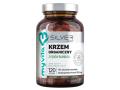 MyVita Silver Krzem Organiczny interakcje ulotka kapsułki  120 kaps.