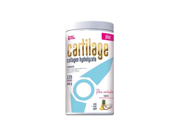 Noble Pharma Cartilage Plus smak pina colada interakcje ulotka proszek do rozpuszczenia  500 g