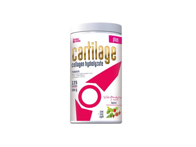 Noble Pharma Cartilage Plus smak poziomka-mięta interakcje ulotka proszek - 500 g